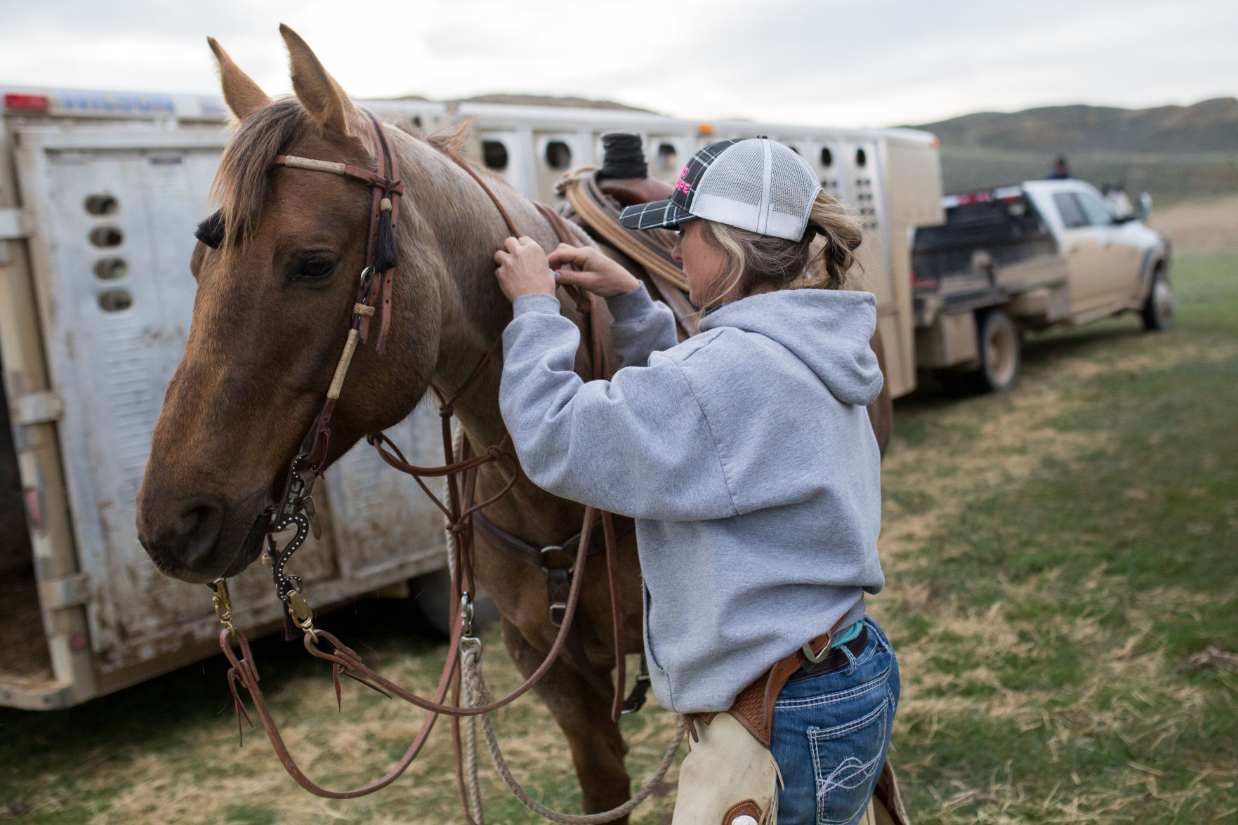Sheridan Cattle Branding